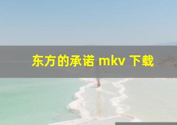 东方的承诺 mkv 下载